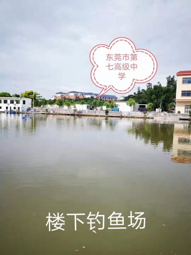 微信图片_20190709191536.jpg