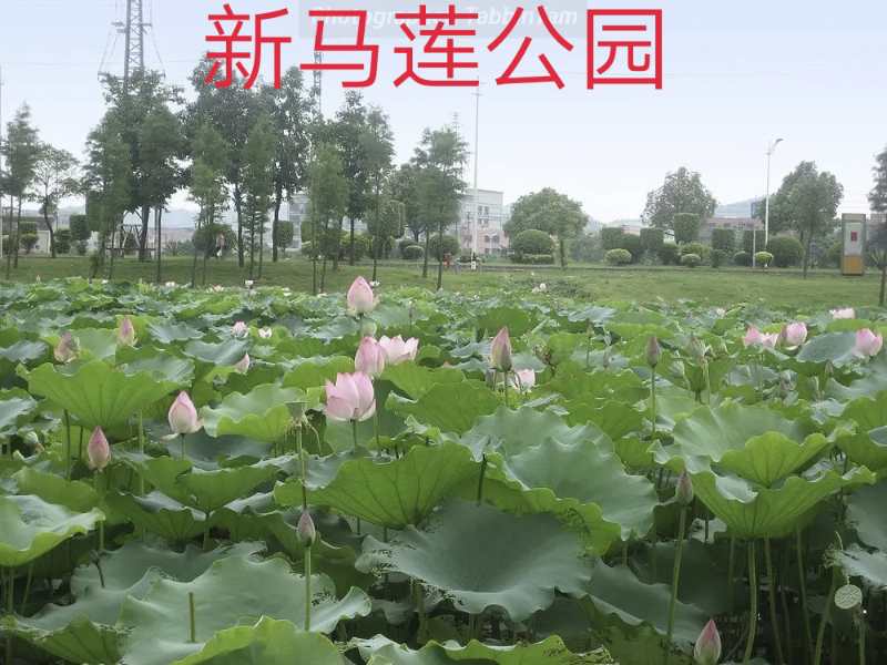 微信图片_20190301100849.jpg