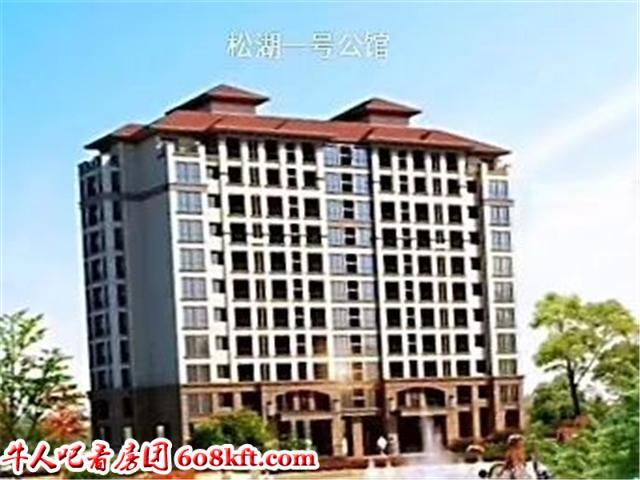 东莞松山湖产业园区,唯一在售小产权房《松湖一号公馆》火爆发售!