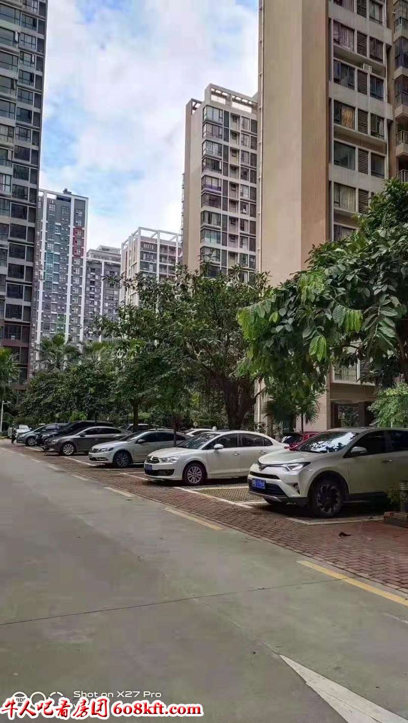 微信图片_20200206202229.jpg