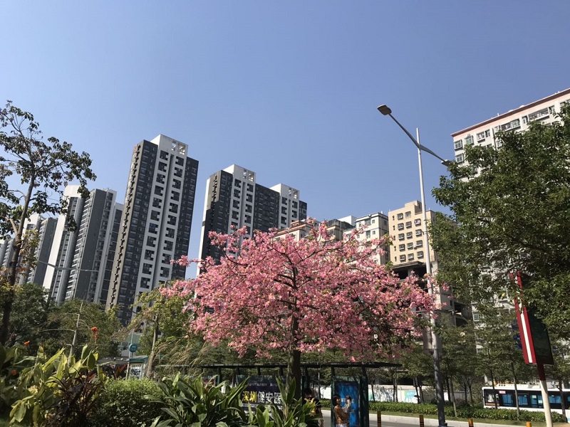 微信图片_20191129151538.jpg