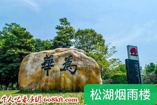华为.jpg
