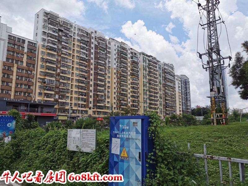 微信图片_20190726165427.jpg
