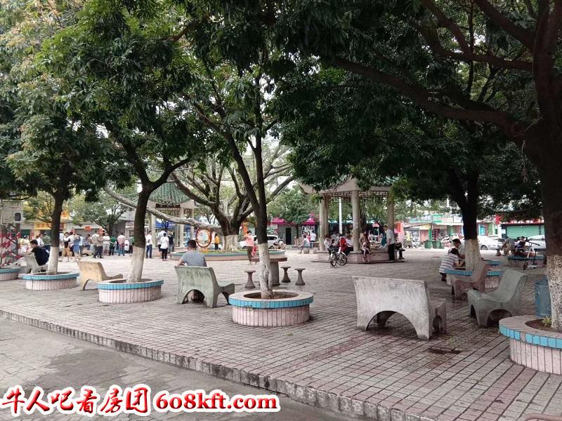 微信图片_20190506170528.jpg