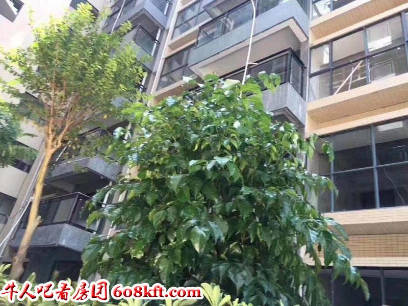 微信图片_20191228113317.jpg