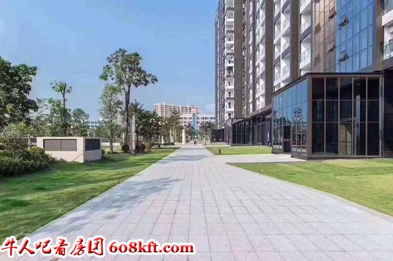 微信图片_20191202171809.jpg