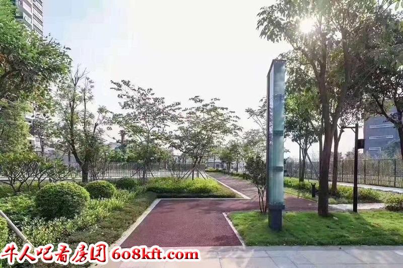 微信图片_20191202171906.jpg