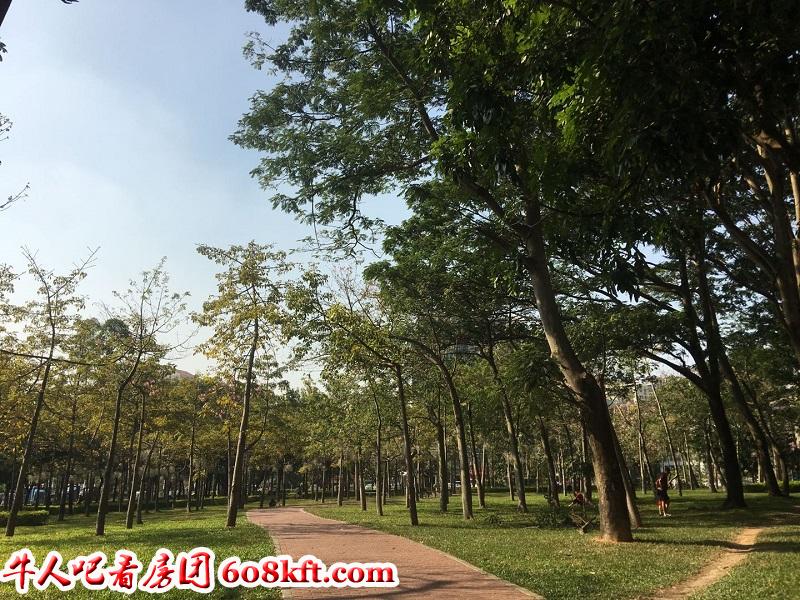微信图片_20191129151700.jpg