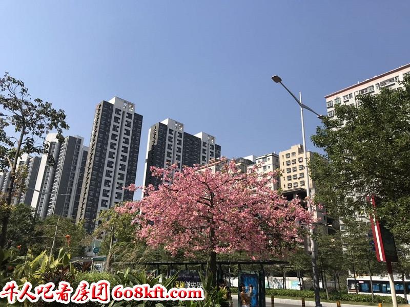 微信图片_20191129151538.jpg