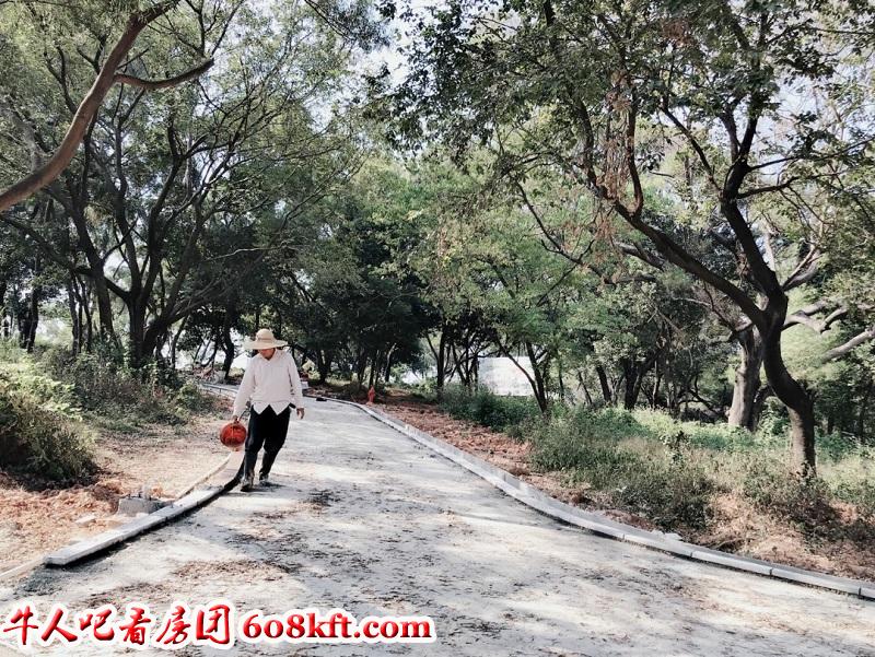 微信图片_20191114180505.jpg