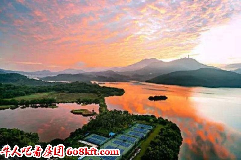 微信图片_20200806171513.jpg