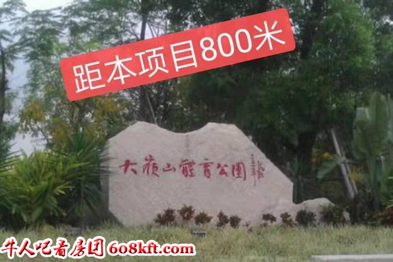 微信图片_20190823134947.jpg
