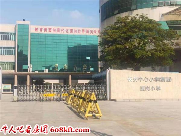 岗厦小学.jpg
