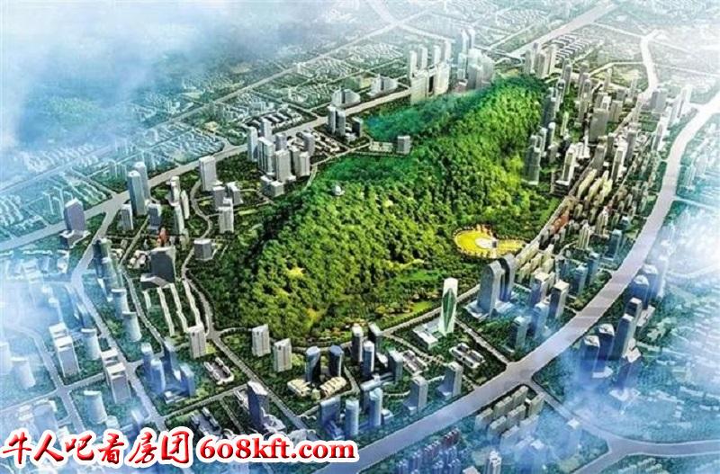 微信图片_20200717200531.jpg