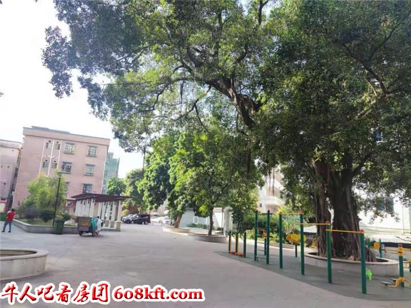 微信图片_20201119181356.jpg