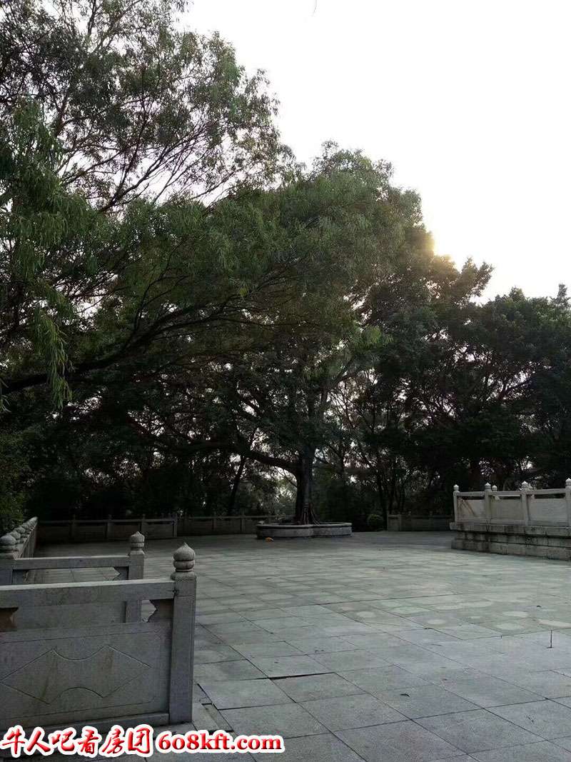 181538960881_.pic_hd.jpg