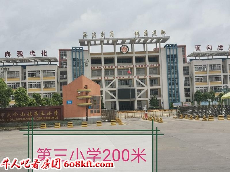 微信图片_20200726170611.jpg