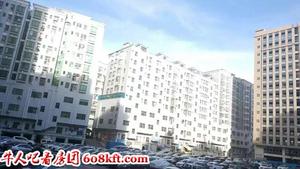 深圳民治《康馨小区》民治地铁口300米小产权房