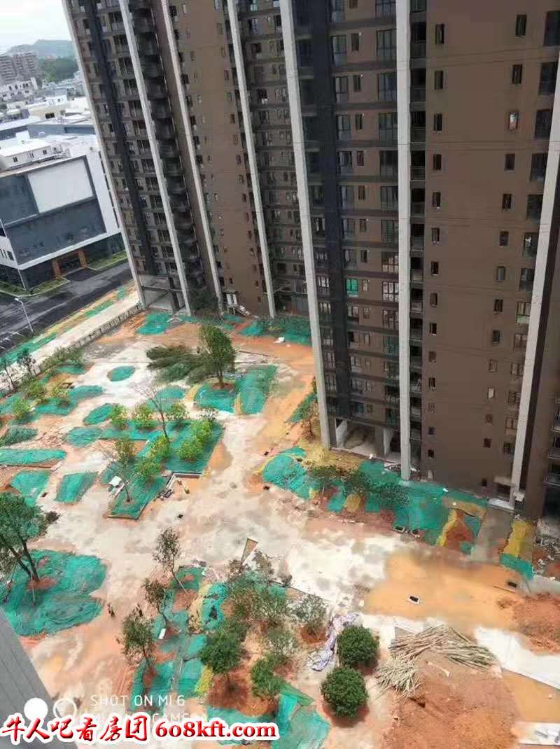 微信图片_20190322160926.jpg