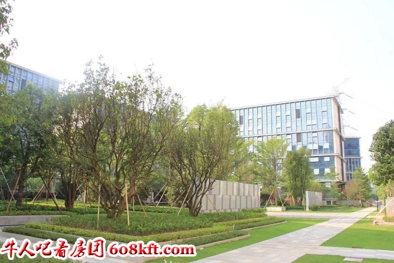 微信图片_20190816190814.jpg