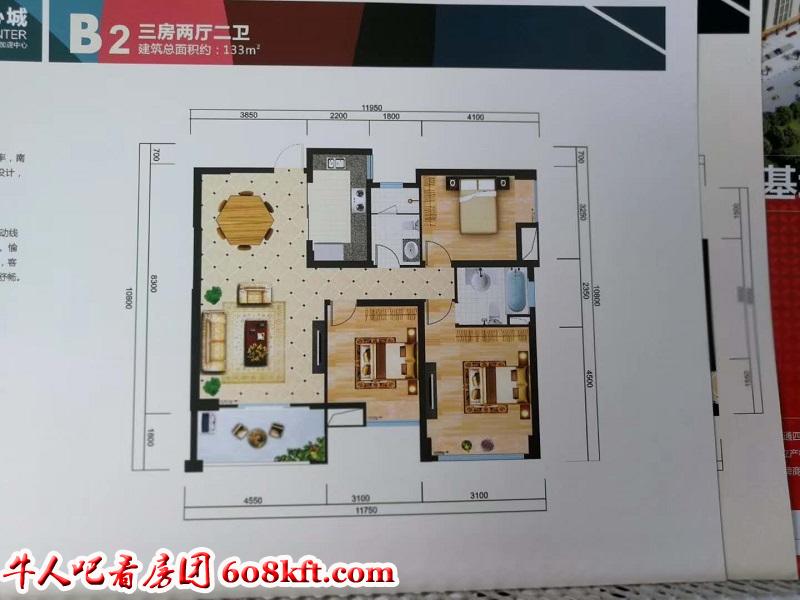 微信图片_20190517154335.jpg