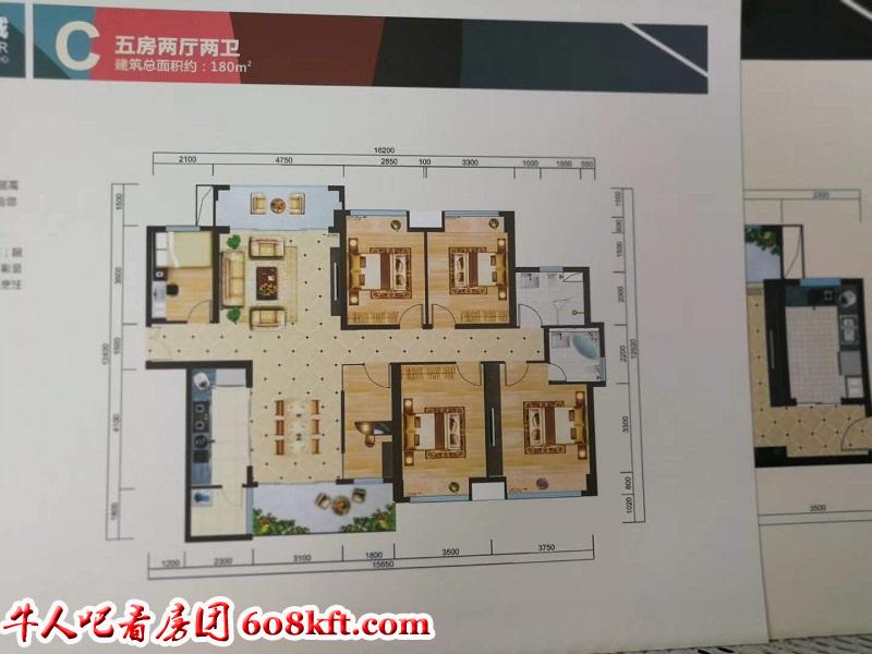 微信图片_20190517154344.jpg
