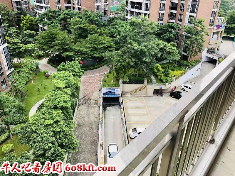 微信图片_20190813171043.jpg