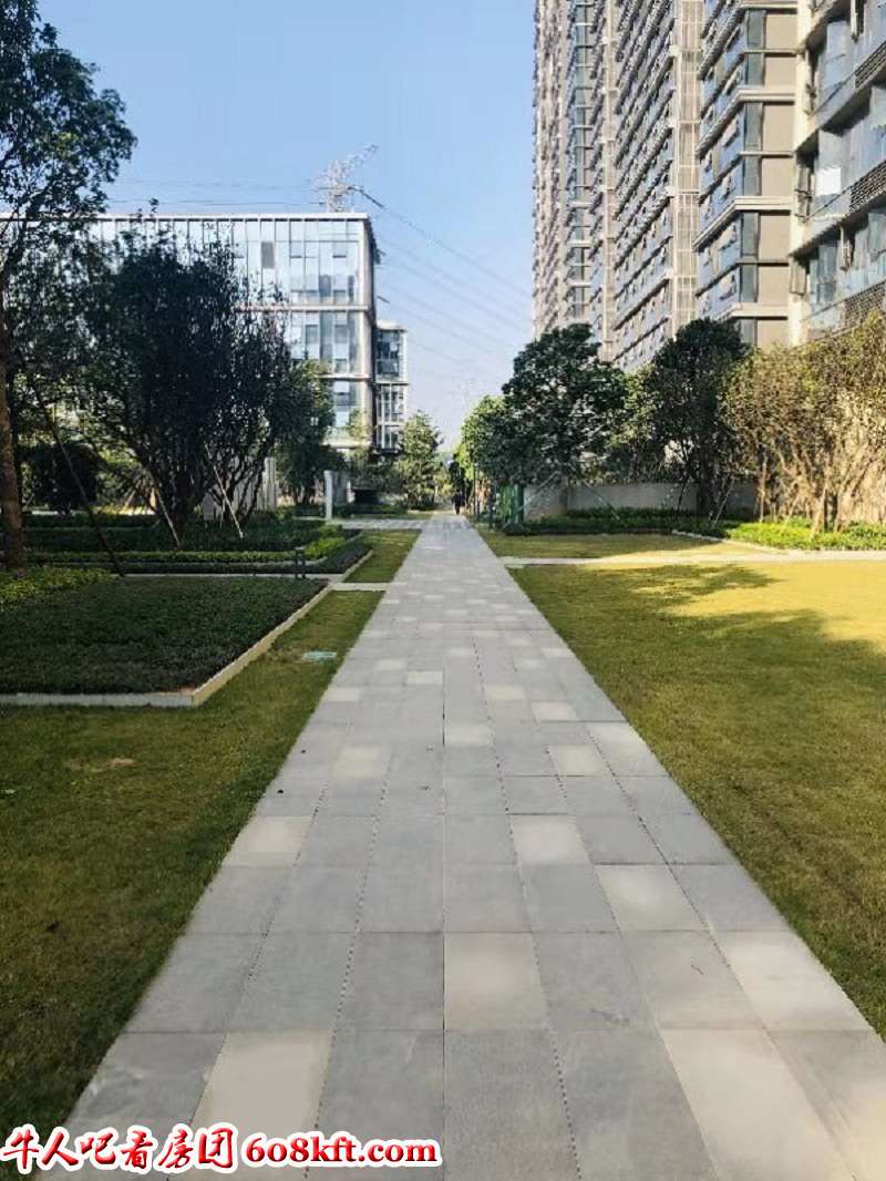 微信图片_20191121105643.jpg