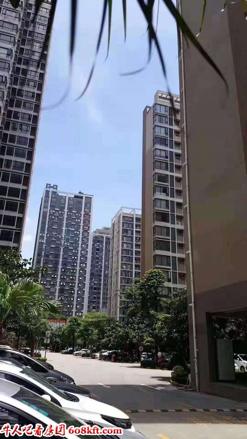 微信图片_20200206202212.jpg